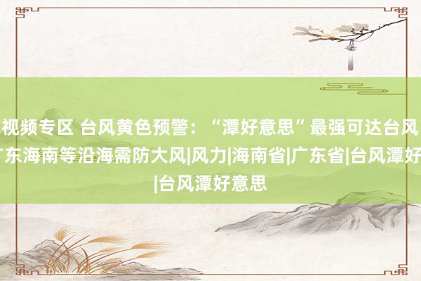 视频专区 台风黄色预警：“潭好意思”最强可达台风级 广东海南等沿海需防大风|风力|海南省|广东省|台风潭好意思