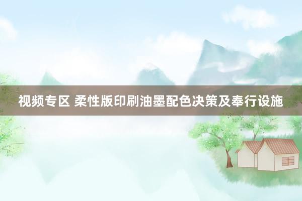 视频专区 柔性版印刷油墨配色决策及奉行设施