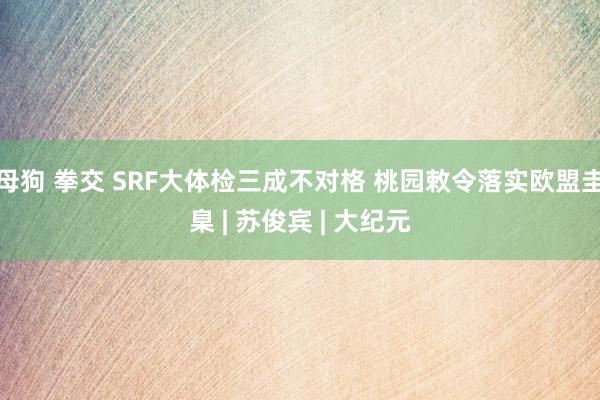 母狗 拳交 SRF大体检三成不对格 桃园敕令落实欧盟圭臬 | 苏俊宾 | 大纪元
