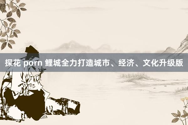 探花 porn 鲤城全力打造城市、经济、文化升级版