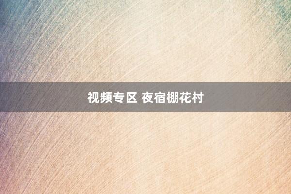 视频专区 夜宿棚花村