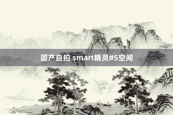 国产自拍 smart精灵#5空间
