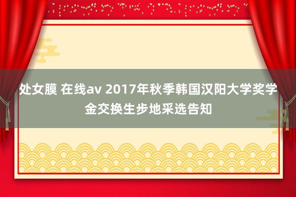 处女膜 在线av 2017年秋季韩国汉阳大学奖学金交换生步地采选告知