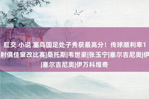 肛交 小说 塞鸟国足处子秀获最高分！传球顺利率100%，传射俱佳窜改比赛|桑托斯|韦世豪|张玉宁|塞尔吉尼奥|伊万科维奇