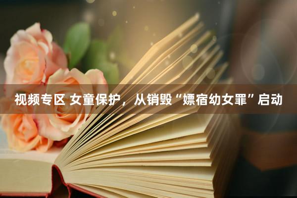 视频专区 女童保护，从销毁“嫖宿幼女罪”启动