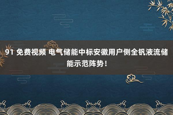 91 免费视频 电气储能中标安徽用户侧全钒液流储能示范阵势！