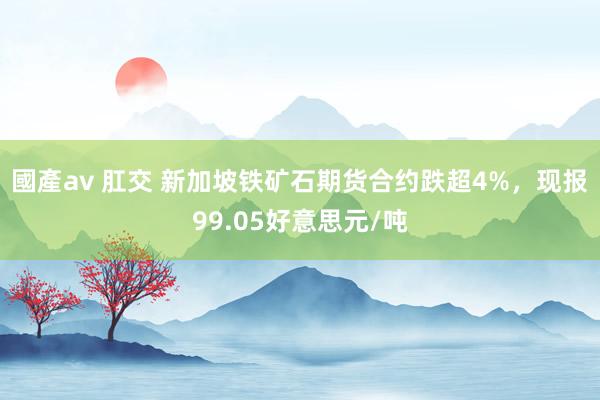 國產av 肛交 新加坡铁矿石期货合约跌超4%，现报99.05好意思元/吨