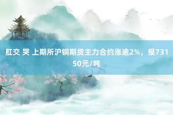 肛交 哭 上期所沪铜期货主力合约涨逾2%，报73150元/吨