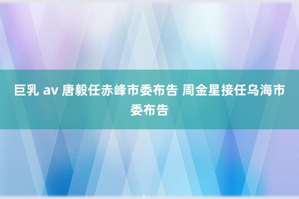 巨乳 av 唐毅任赤峰市委布告 周金星接任乌海市委布告