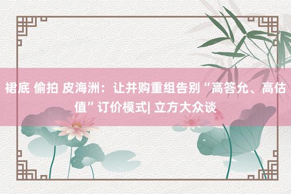 裙底 偷拍 皮海洲：让并购重组告别“高答允、高估值”订价模式| 立方大众谈