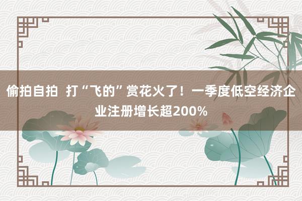 偷拍自拍  打“飞的”赏花火了！一季度低空经济企业注册增长超200%